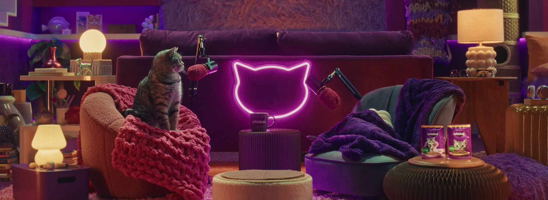 Introducing a new cat