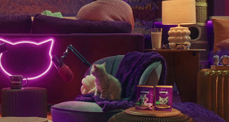 What should my kitten be drinking?