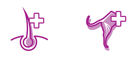 our purrfect promise