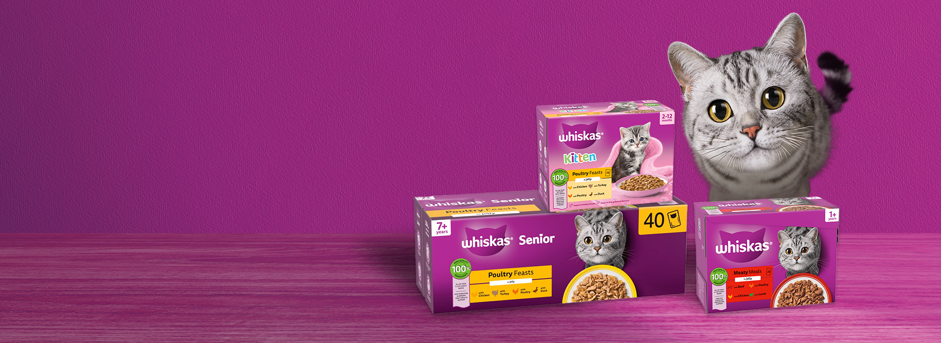 Wet Cat Food Hero Image