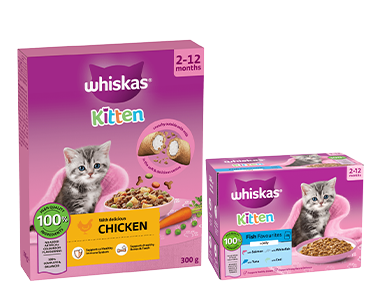 Whiskas Kitten