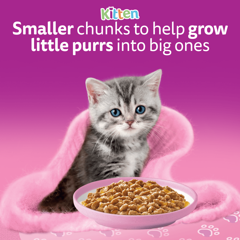 WHISKAS Kitten 2-12 mnths FISH Favourites Wet Cat Food Pouches in Jelly 12 x 85g - 2