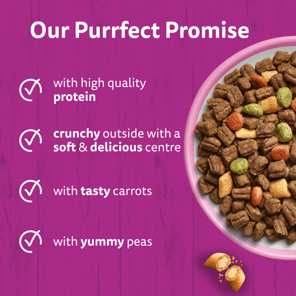 WHISKAS Cat Dry with Salmon Adult 1.9kg, 800g - 3