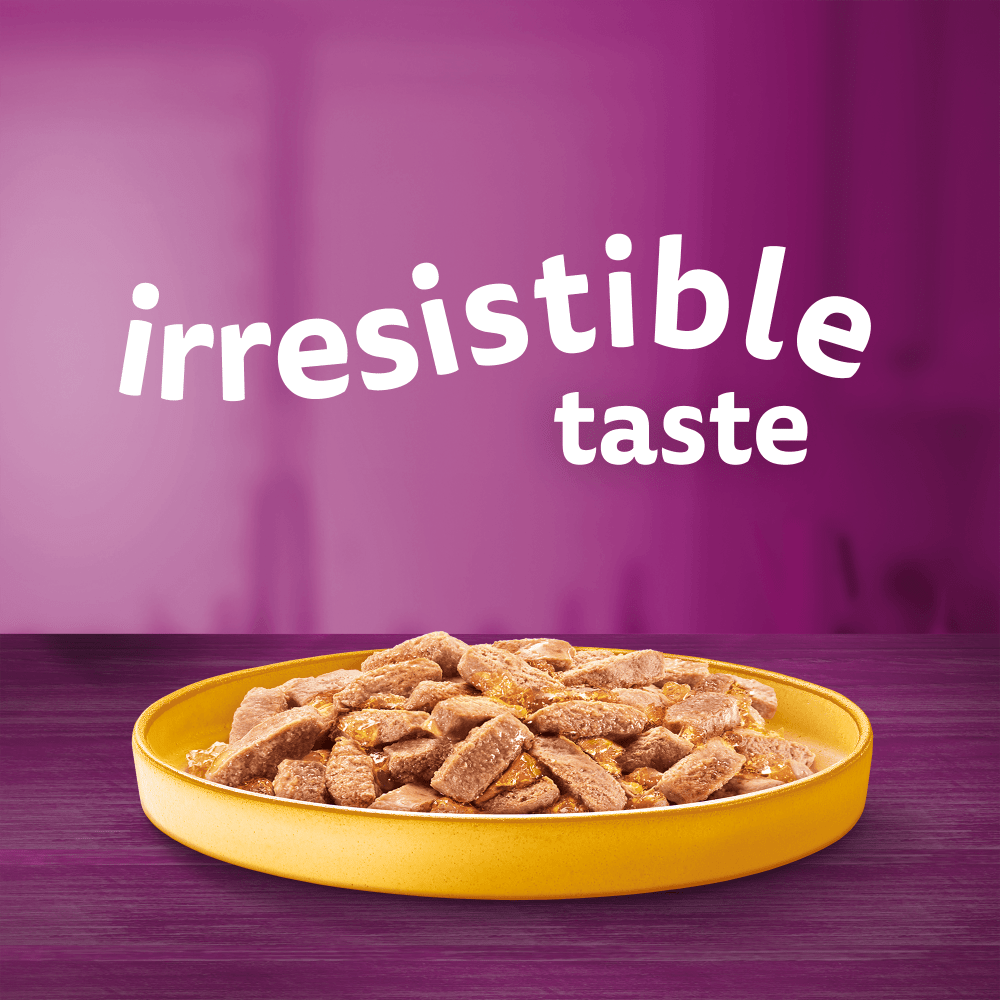 WHISKAS® Adult Wet Cat Food Chicken in Jelly Tin 400g - 2