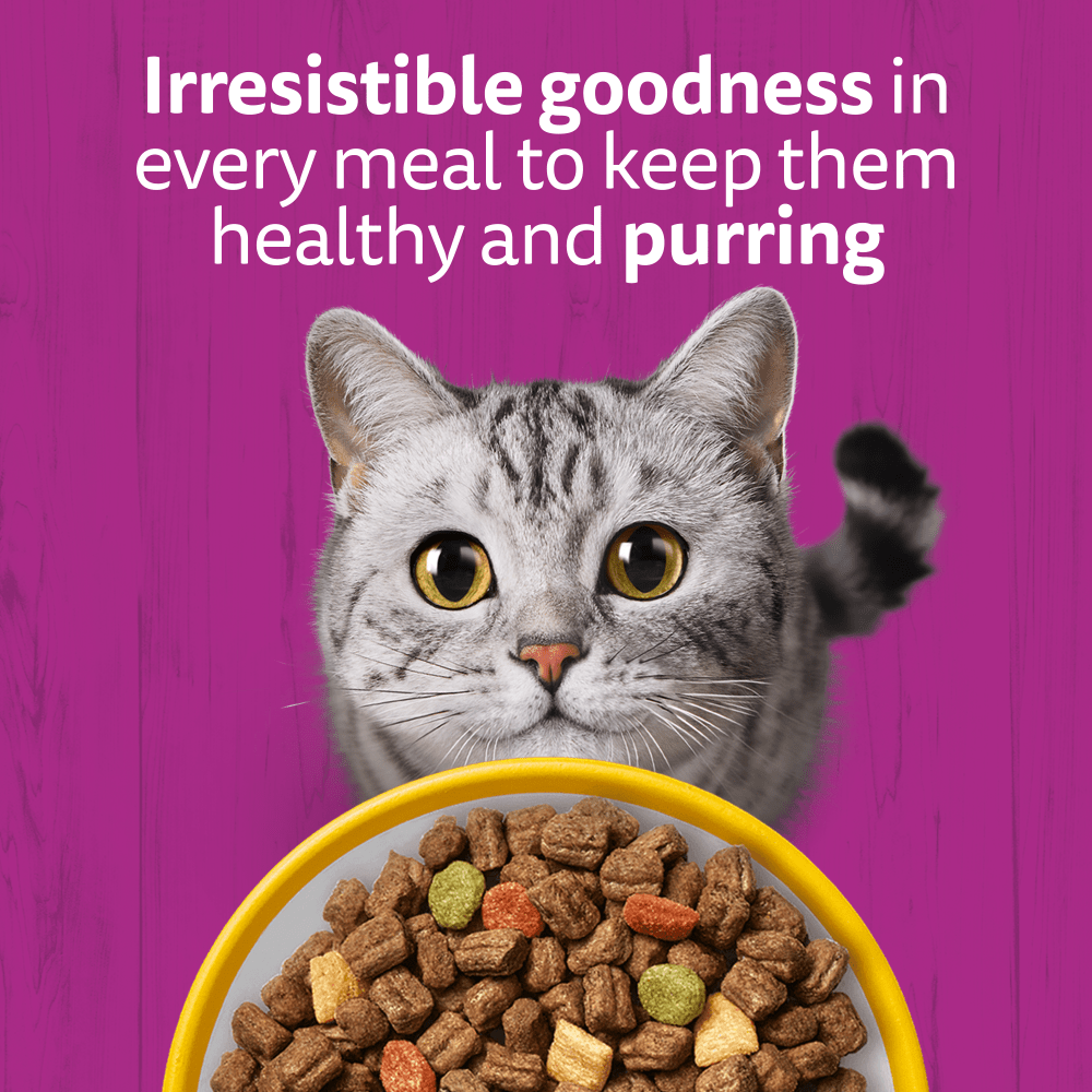 WHISKAS Cat Dry with Chicken Senior 7+ 1.9kg, 800g - 2