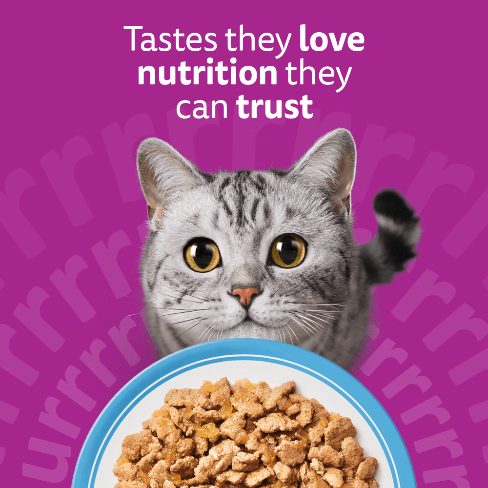 WHISKAS 1+ TUNA Wet Cat Food Pouch in Jelly 85g - 2