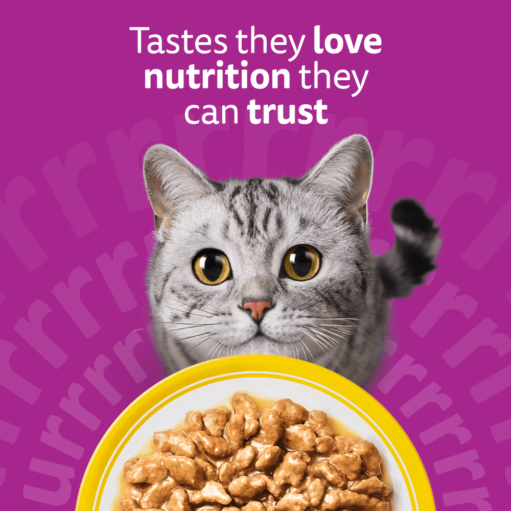 WHISKAS 1+ POULTRY Feasts Wet Cat Food Pouches in Gravy 12 x 85g - 2