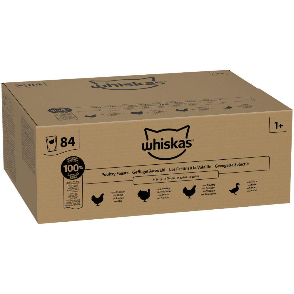 POULTRY FEASTS in Jelly 1+ Adult Wet Cat Food Pouches