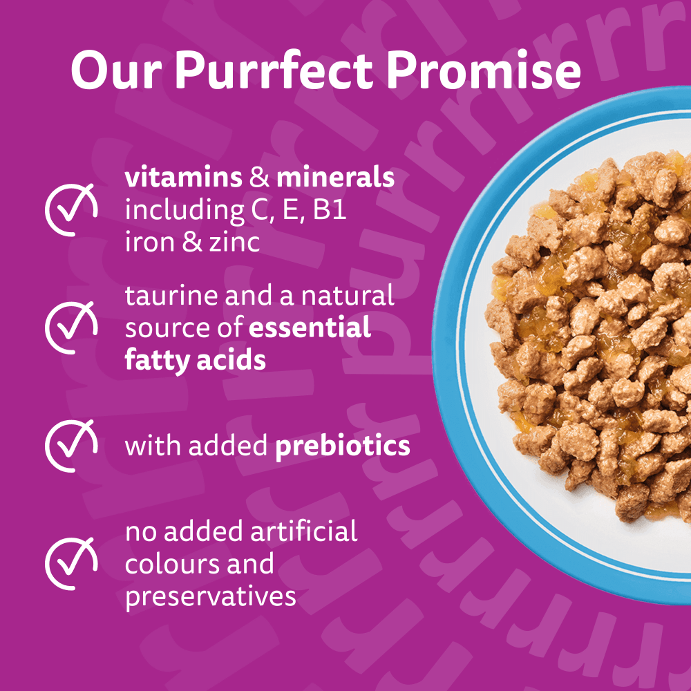 WHISKAS Senior 11+ FISH Favourites Wet Cat Food Pouches in Jelly 12 x 85g - 3