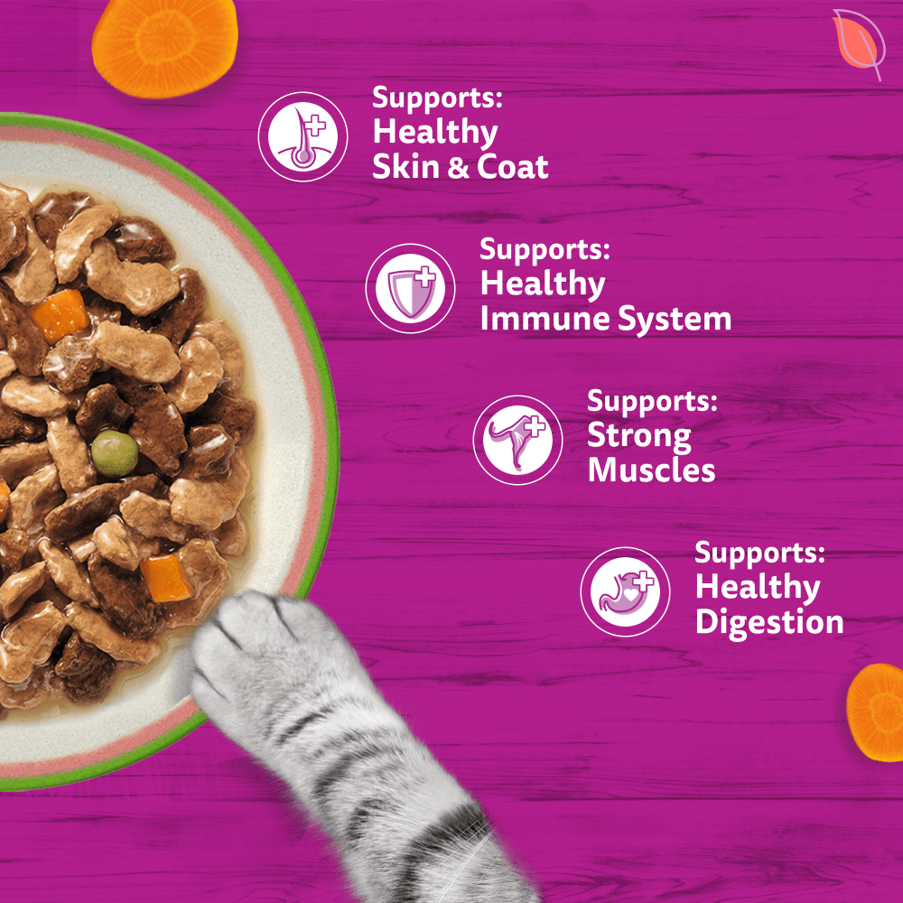 WHISKAS CHEF'S CHOICE in Gravy Adult Wet Cat Food 40x85g, 12x85g - 4