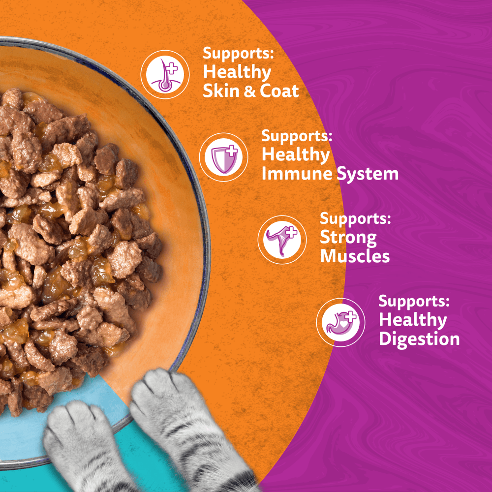 WHISKAS Duo Surf & Turf in Jelly Adult Wet Cat Food Pouch 80x85g, 40x85g, 12x85g - 4