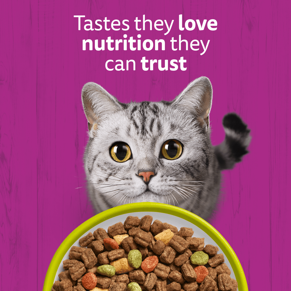 WHISKAS Cat Dry with Lamb Adult 1.9kg, 800g - 2