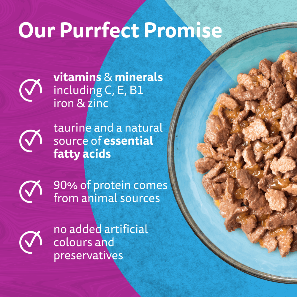 WHISKAS 1+ DUO OCEAN Delight Wet Cat Food Pouches in Jelly 12 x 85g - 3