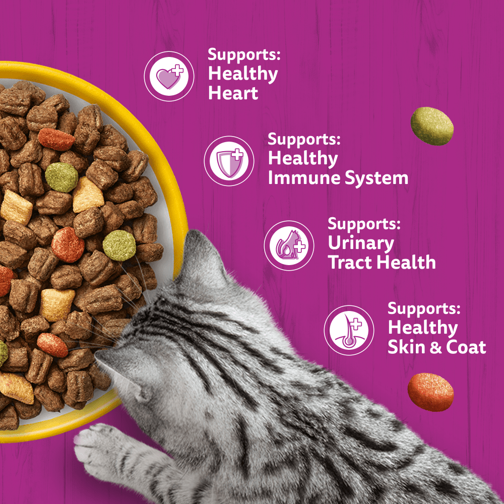 WHISKAS Cat Dry with Chicken Senior 7+ 1.9kg, 800g - 4